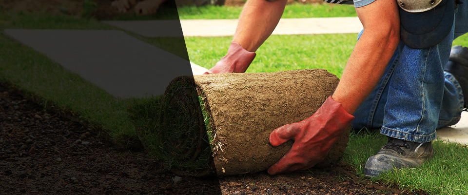 Moselle Landscapers